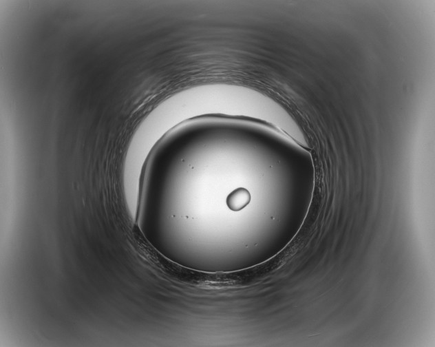 X0000086720556200704271613