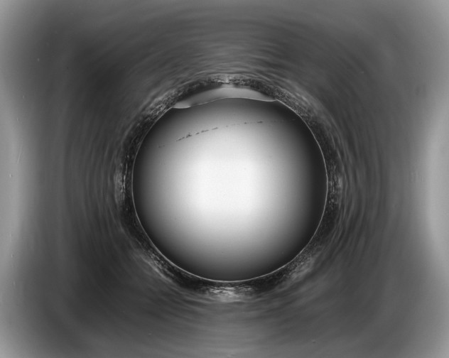 X0000086720558200704271613