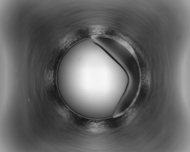 X0000086720560200704271613