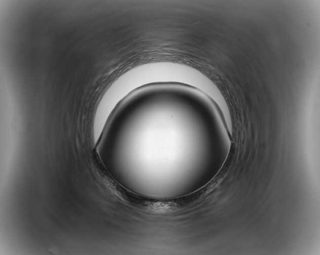 X0000086720566200704271613