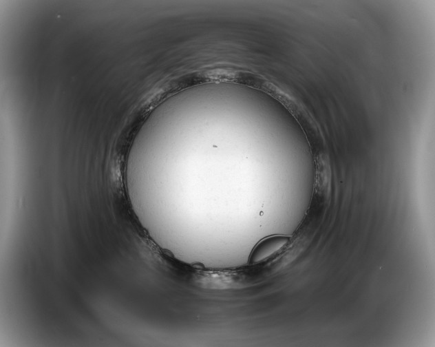 X0000086720573200704271613