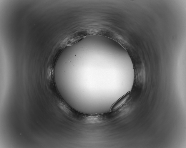 X0000086720574200704271613