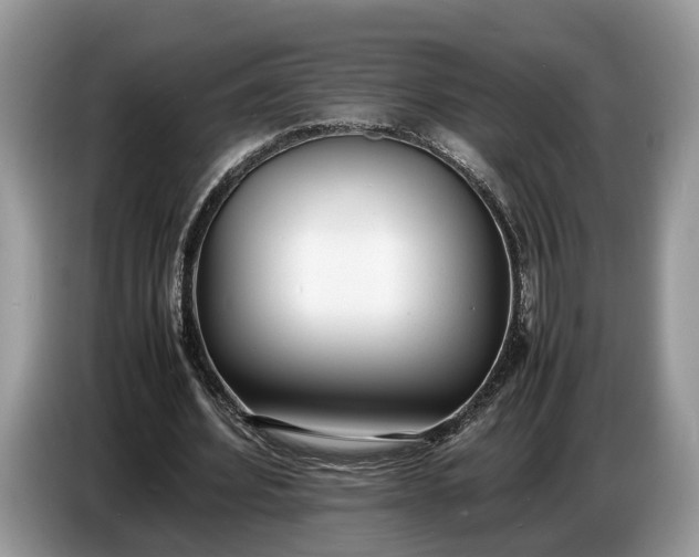 X0000086720580200704271612