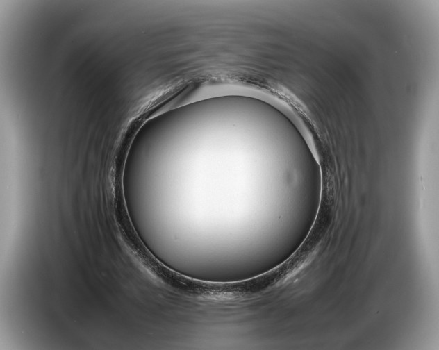 X0000086720581200704271612