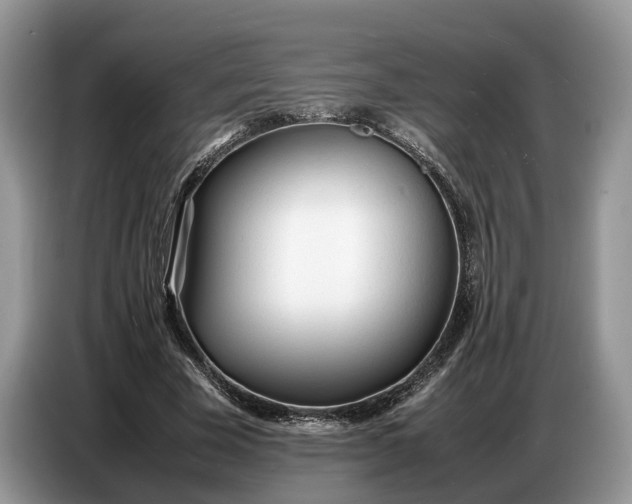 X0000086720585200704271612