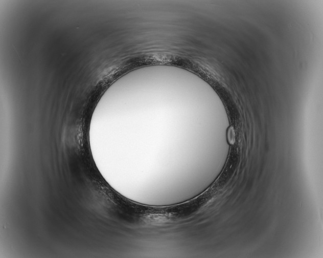 X0000086720595200704271612