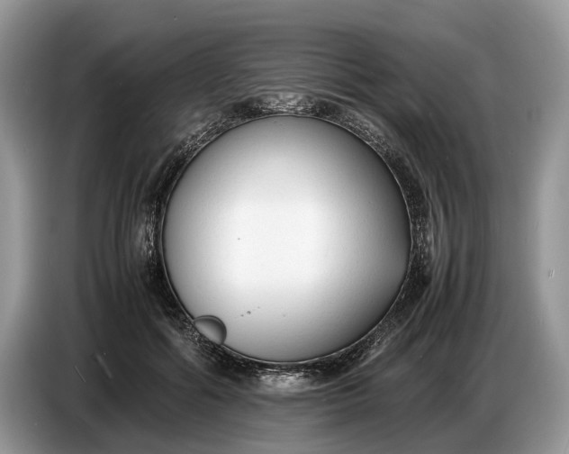 X0000086720602200704271612