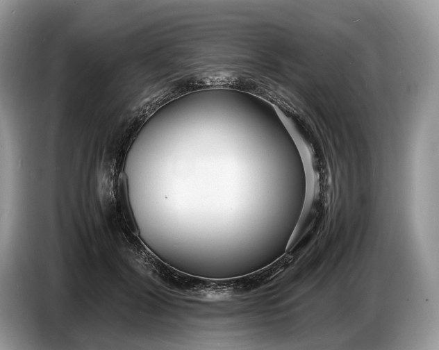 X0000086720604200704271612