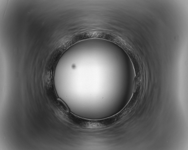 X0000086720605200704271612
