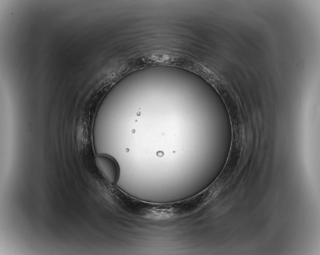 X0000086720606200704271612