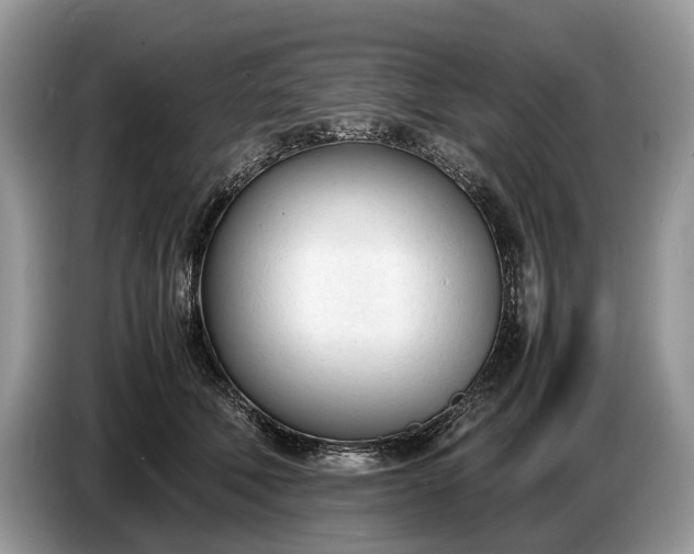 X0000086720610200704271612