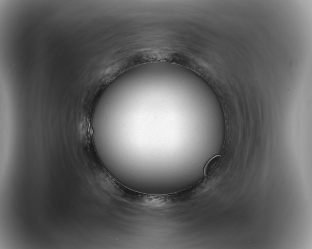 X0000086720624200704271612
