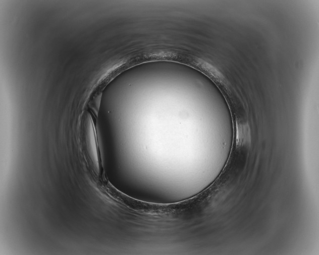 X0000086720627200704271611
