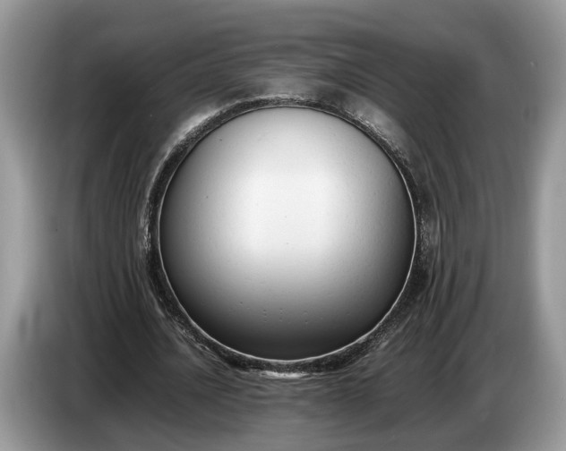 X0000086720628200704271611