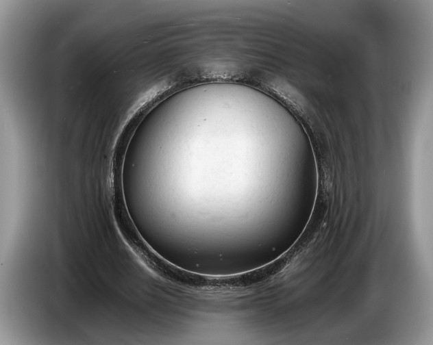 X0000086720630200704271611