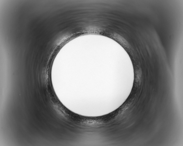 X0000086720632200704271611