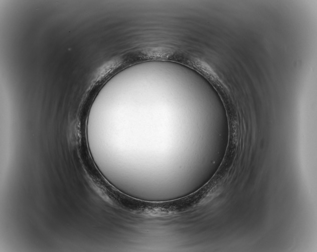 X0000086720634200704271611