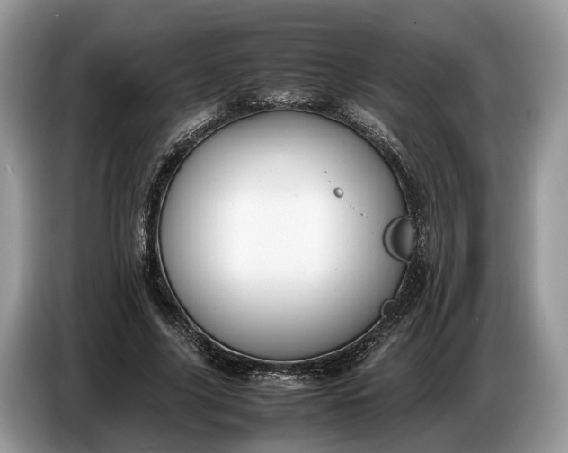 X0000086720635200704271611