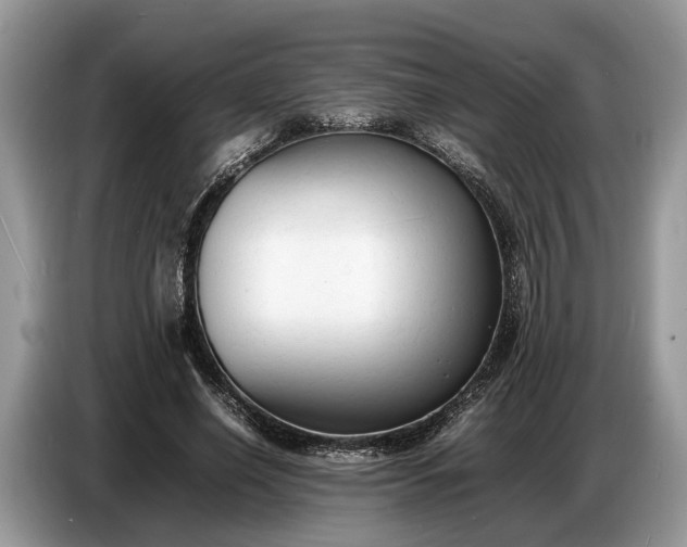 X0000086720638200704271611