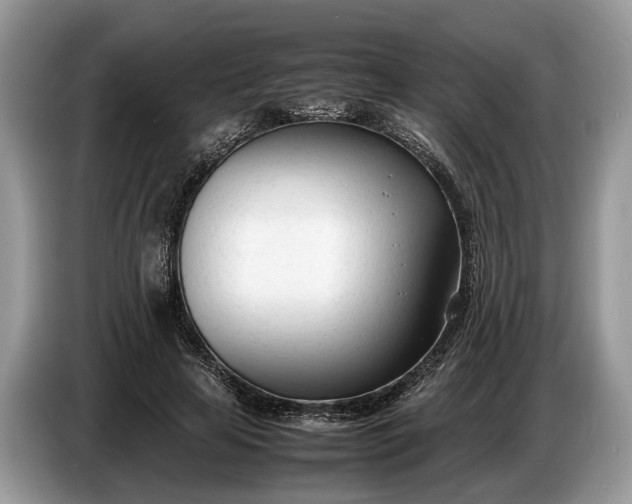 X0000086720641200704271611