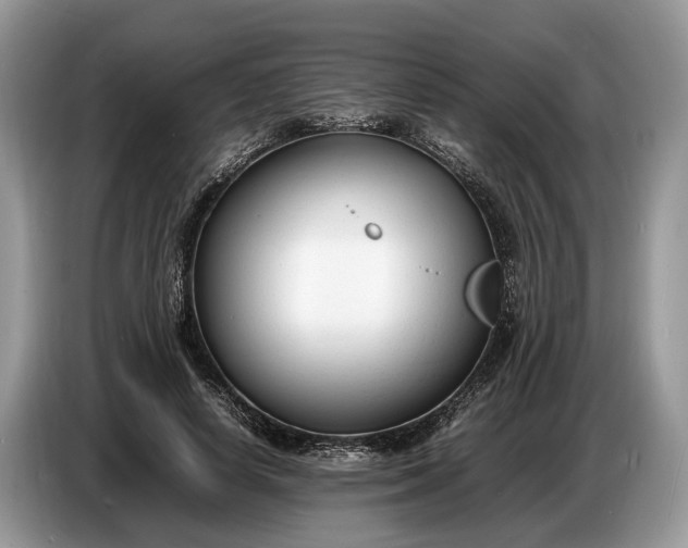 X0000086720642200704271611