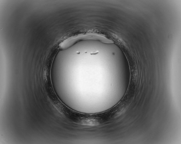 X0000086720643200704271611