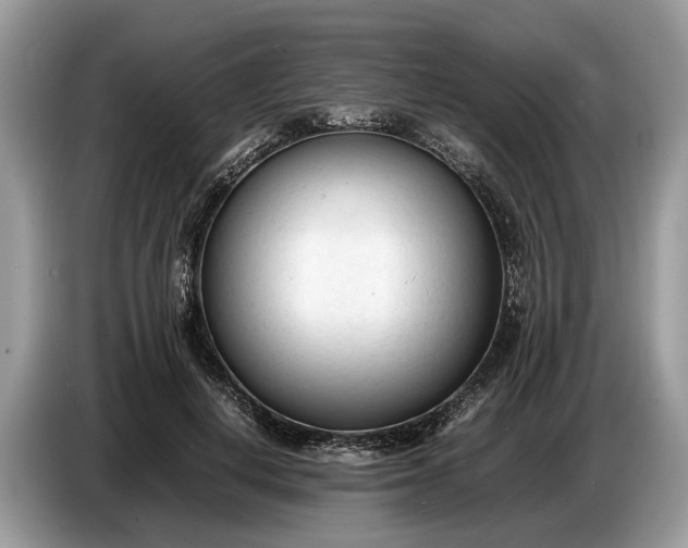 X0000086720648200704271611