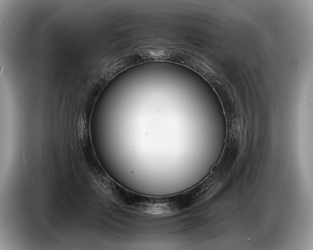 X0000086720651200704271611