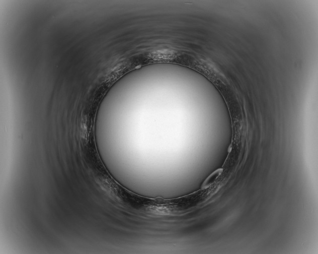X0000086720655200704271611