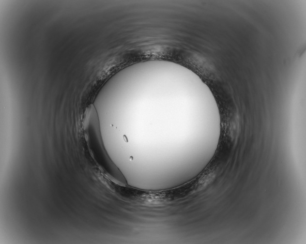 X0000086720660200704271611