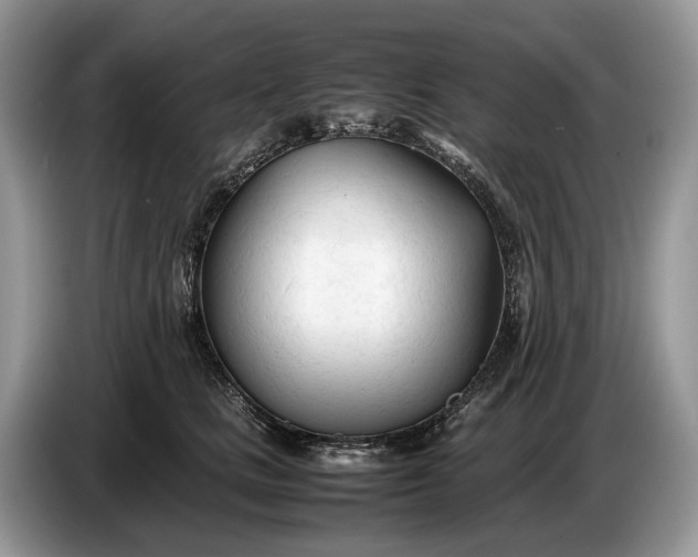 X0000086720661200704271611