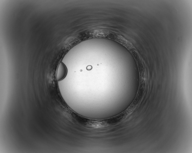 X0000086720663200704271612