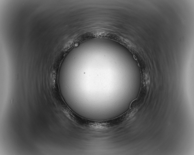 X0000086720664200704271612