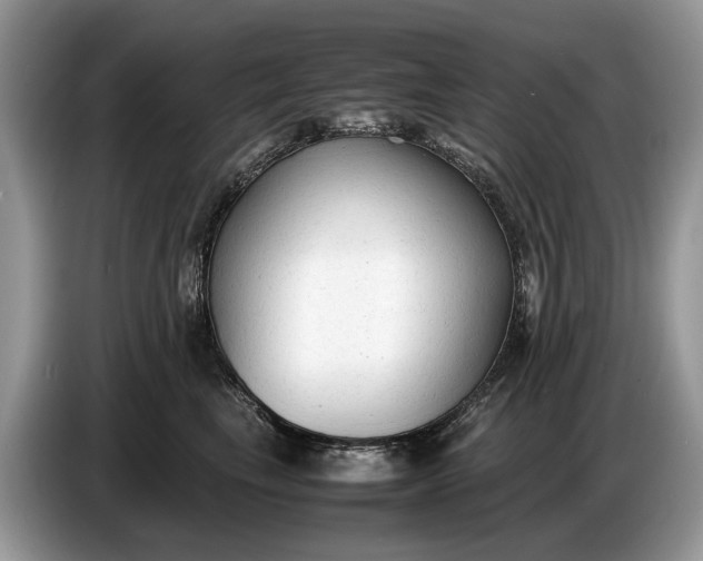 X0000086720665200704271612