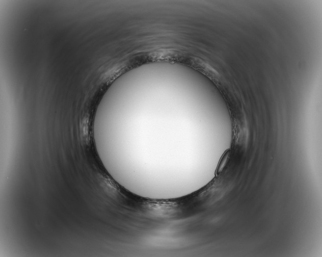 X0000086720670200704271612