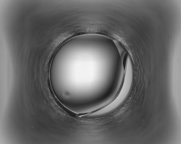 X0000086720673200704271611