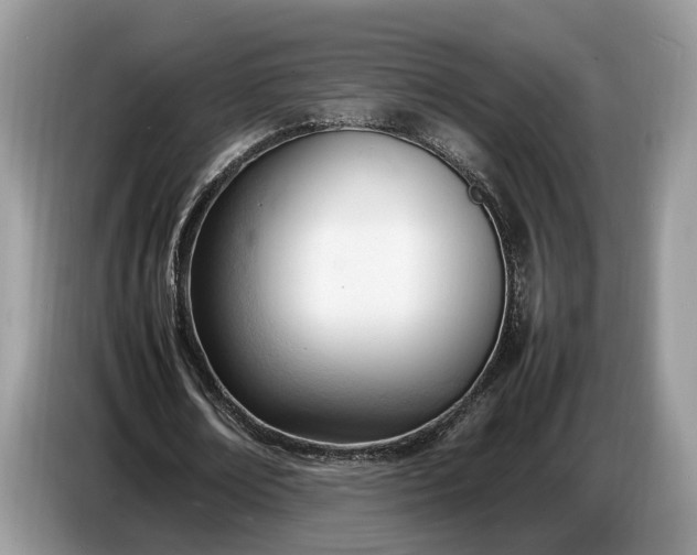 X0000086720674200704271611