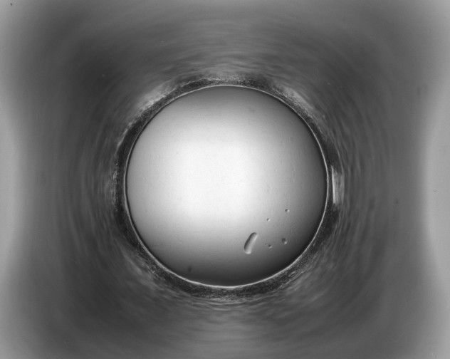 X0000086720675200704271611