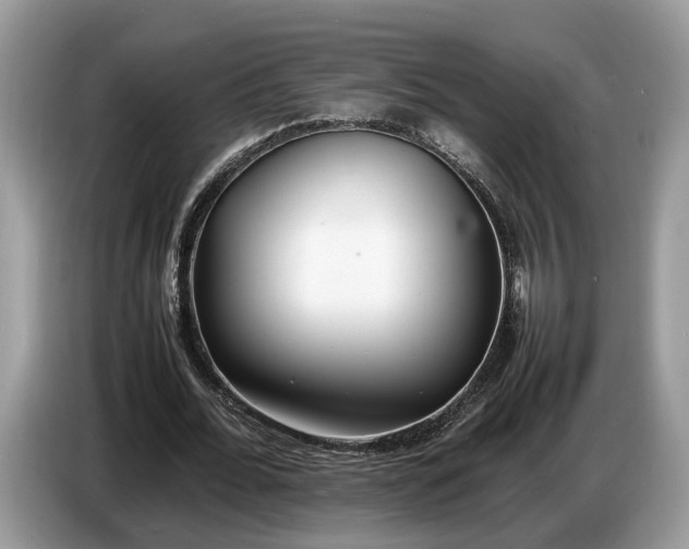 X0000086720676200704271611