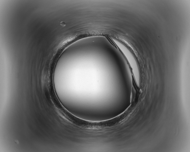 X0000086720677200704271611