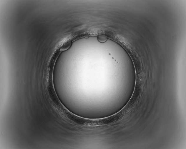 X0000086720679200704271611
