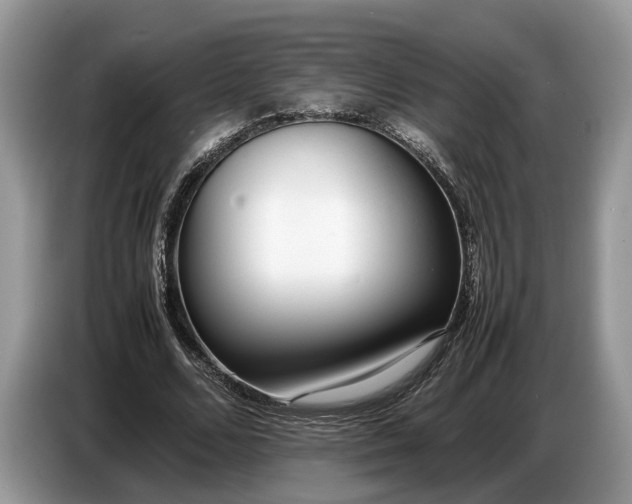 X0000086720680200704271611