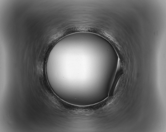 X0000086720681200704271611