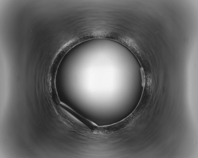 X0000086720684200704271611