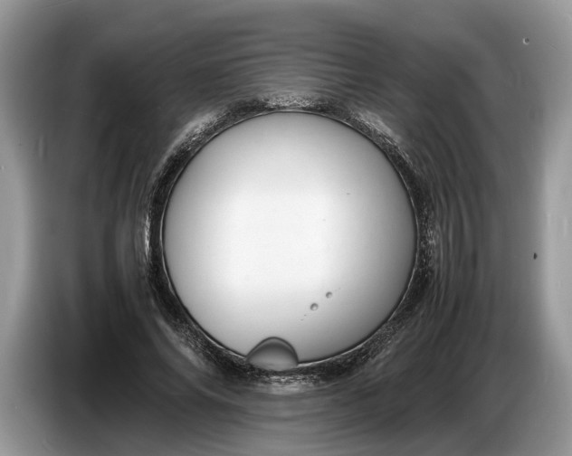 X0000086720686200704271611