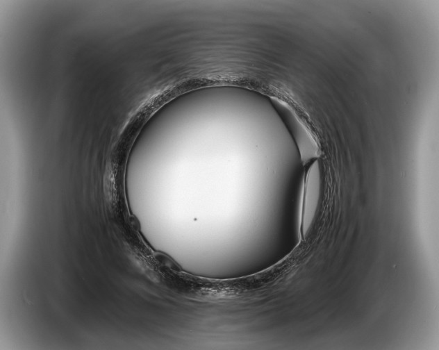 X0000086720688200704271611