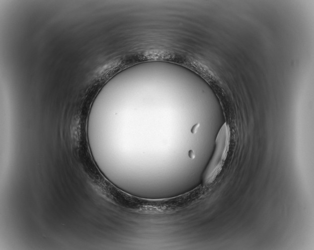 X0000086720690200704271611