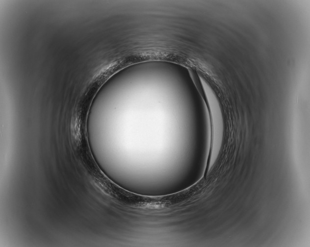 X0000086720692200704271611