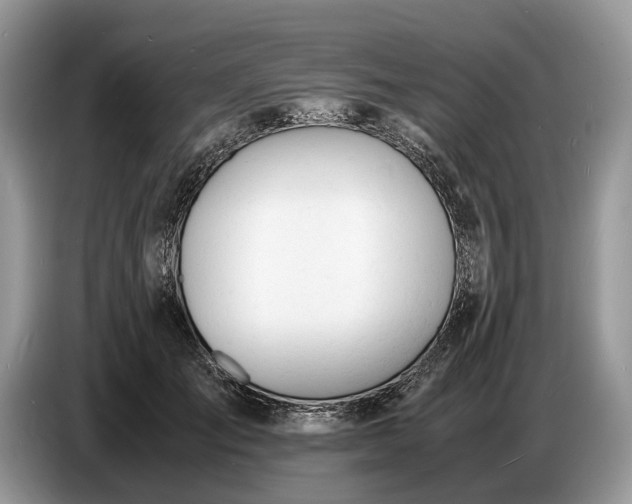 X0000086720701200704271611