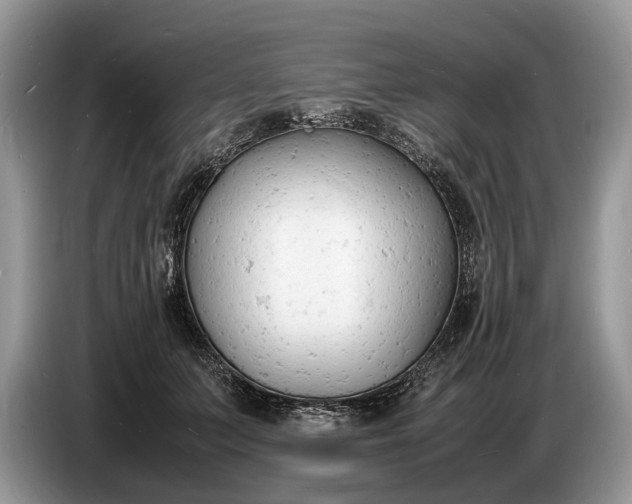 X0000086720703200704271611